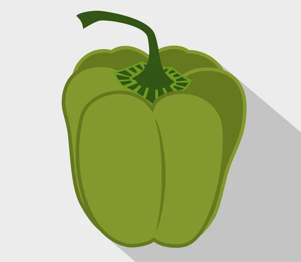 Pimiento Fresco Paprika Vectorial Pimienta Dulce Verde Dibujo Plano Sobre — Vector de stock