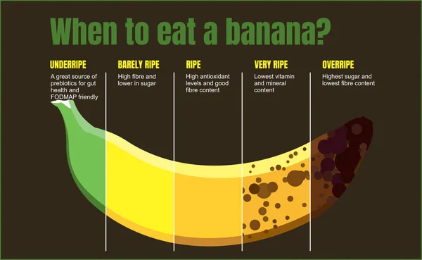 Cuando Comer Plátano Mesa Sin Maduración Plátano Características Los Plátanos — Archivo Imágenes Vectoriales