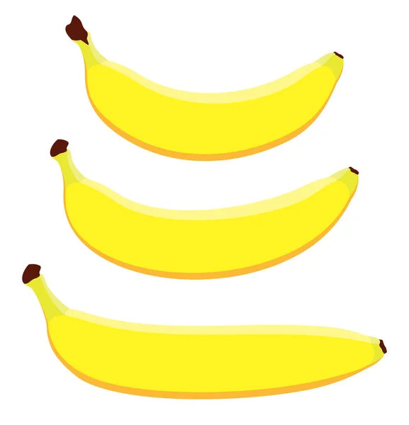 Векторные Бананы Разной Формы Три Спелых Жёлтых Банана Нарисованных Плоской — стоковый вектор