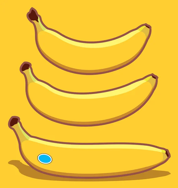 Wektorowe Banany Różnych Kształtach Trzy Dojrzałe Żółte Banany Narysowane Płaskim — Wektor stockowy