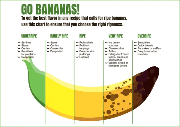 什么时候吃香蕉 不同配方的使用图表 香蕉产品的成熟度各不相同 未成熟 成熟和过熟香蕉的特征 白色背景下的水果信息图 免版税图库矢量图片