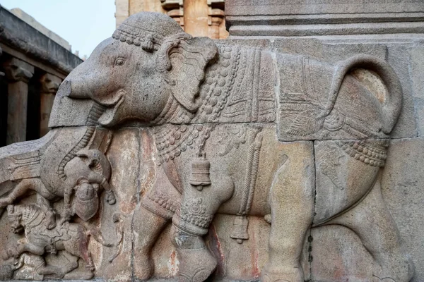 Escultura Elefante Tallada Las Paredes Piedra Del Antiguo Templo Brihadeeswarar —  Fotos de Stock