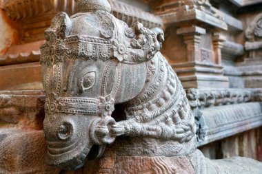 Thanjavur, Tamilnadu 'daki antik Brihadeeswarar tapınağının taş duvarlarına oyulmuş at heykeli. Hint kaya sanatı hayvan heykeli.