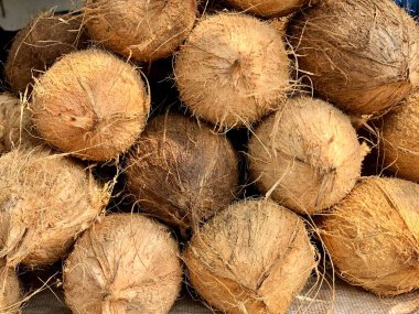 Soyulmuş hindistan cevizli hindistan cevizli nucifera yığını satılık. Hindistan cevizi meyveleri pazarda satılıyor. Pazarda satılık hindistan cevizi meyveleri..