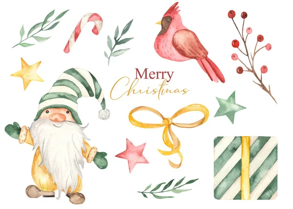 可爱的圣诞小妖精 棒棒糖 鸟类水彩画 — 图库照片