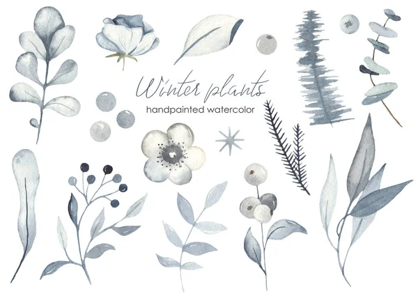 Winterweihnacht Pflanzen Blauer Farbe Blätter Blumen Zweige Laub Aquarell Set — Stockfoto