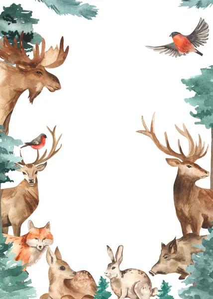 Lesní Zvířata Losové Jeleni Lišky Zajíci Divočáci Borovice Jedle Akvarel — Stock fotografie