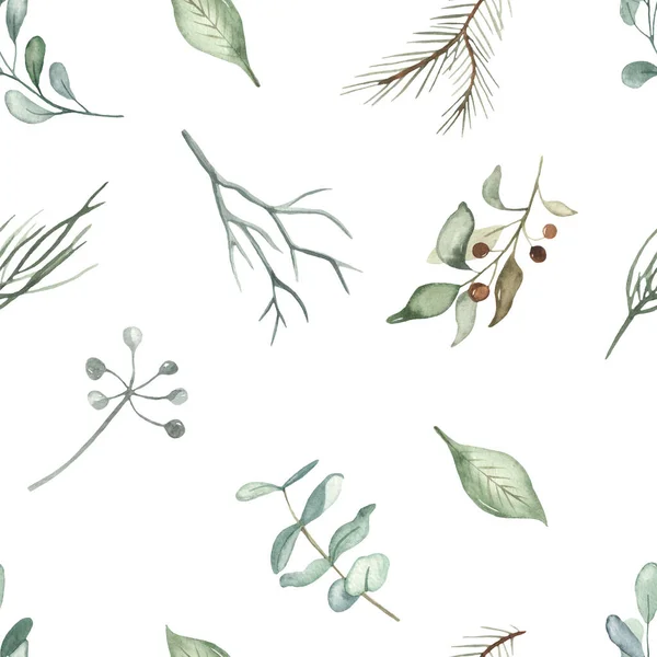 Vánoční Rostliny Listy Bobule Větve Listy Smrkové Větve Zelené Akvarel — Stock fotografie