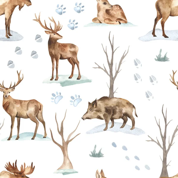 Kış Ormanı Çıplak Ağaçlar Orman Hayvanları Geyik Domuz Beyaz Arka — Stok fotoğraf