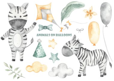 Şirin zebra ve balonlar, bulutlar, yıldızlar, kep, ip, papyon. Suluboya el çizimi Clipart