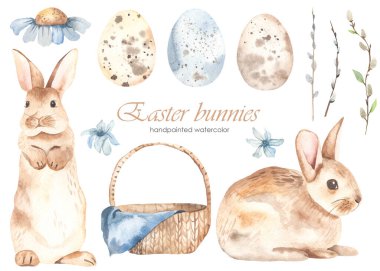 Easter bunnies, basket, quail eggs, pussy willow, blue flowers. Watercolor clipart. Hand drawn illustration