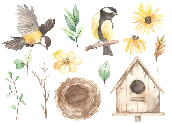 Titmouse Gniazdo Żółte Kwiaty Stokrotki Domek Dla Ptaków Wiosenna Zieleń — Zdjęcie stockowe