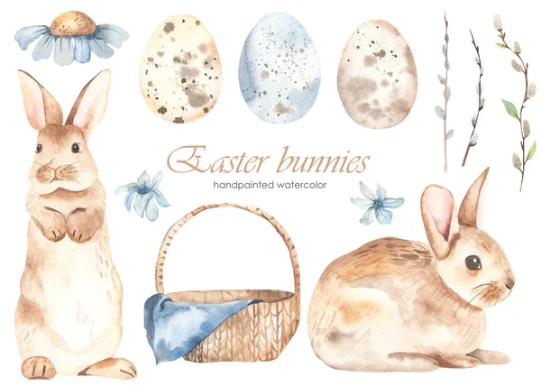 Easter bunnies, basket, quail eggs, pussy willow, blue flowers. Watercolor clipart. Hand drawn illustration