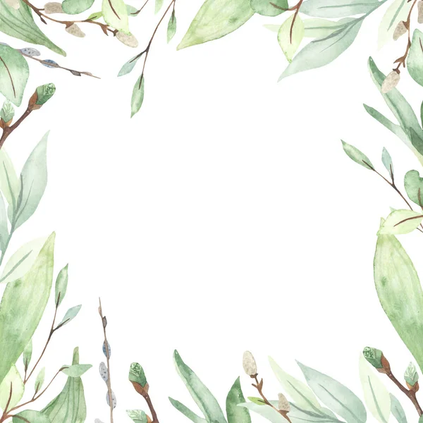 Нежная Весенняя Зелень Листья Ветви Ивы Акварель — стоковое фото