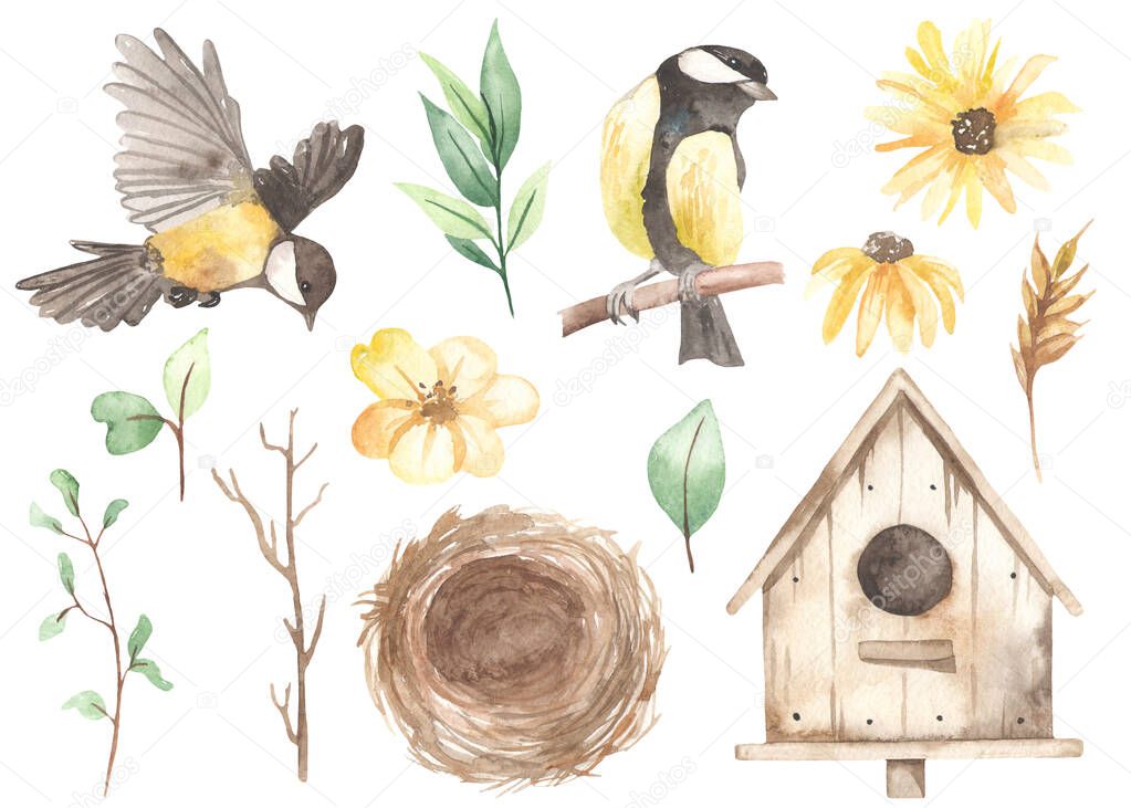 Titmouse, nest, yellow flowers, daisies, birdhouse, spring greenery, leaves, spikelet. Watercolor easter clipart
