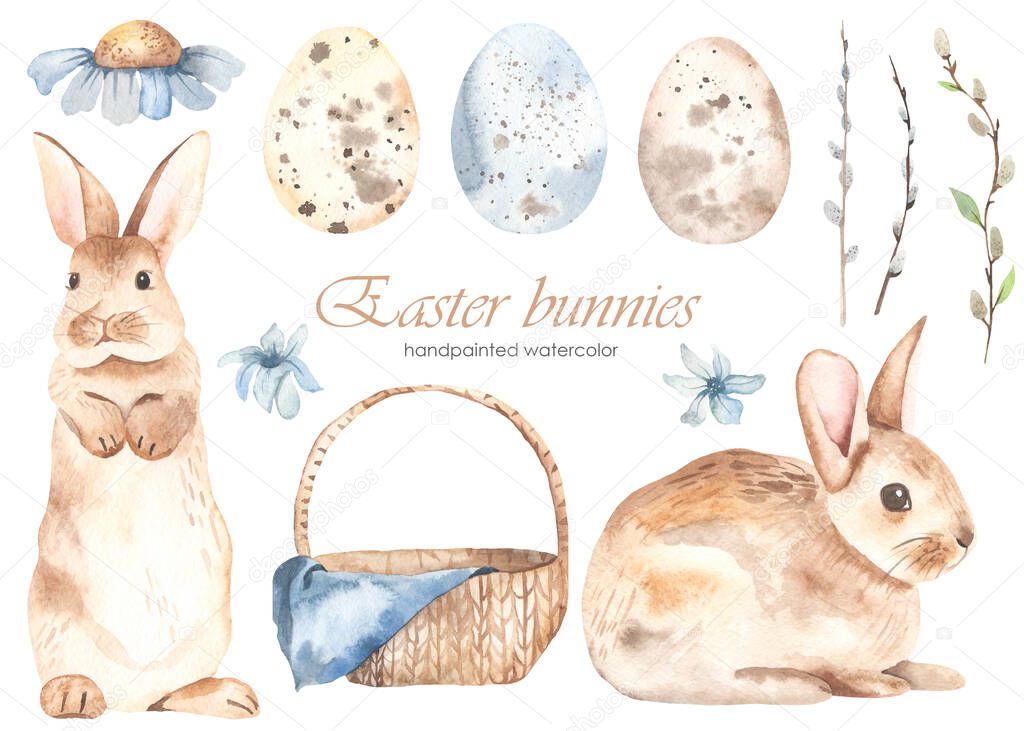 Easter bunnies, basket, quail eggs, pussy willow, blue flowers. Watercolor clipart. Hand drawn illustration