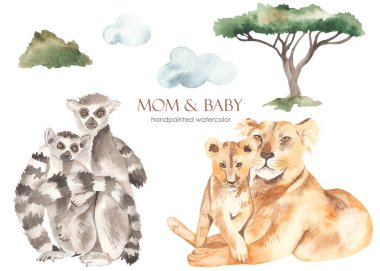 Anne ve bebek Afrika aslanları, lemurlar, akasya, çalı, bulutlar. Suluboya el çizimi Clipart