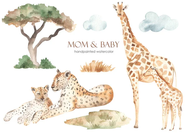 Mamma Bambino Africa Leopardi Giraffe Fiori Secchi Nuvole Acquerello Disegnato — Foto Stock