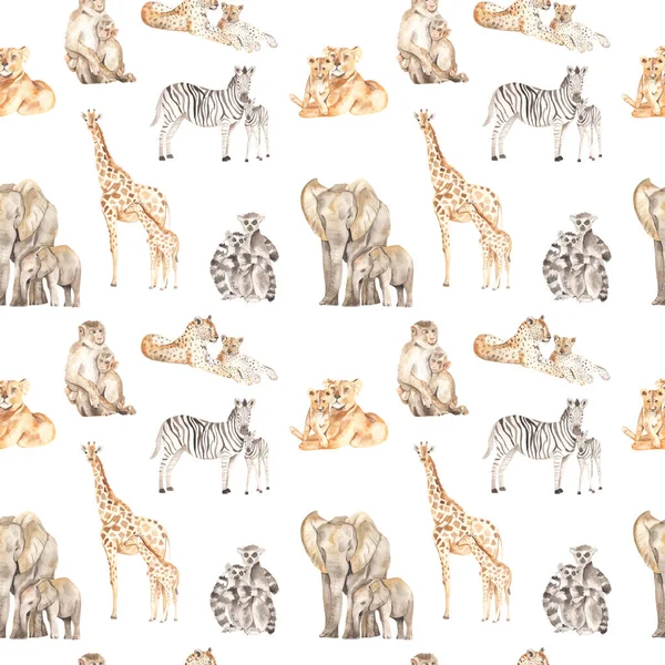 Leoni Leopardi Elefanti Giraffe Zebre Lemuri Scimmie Sfondo Bianco Acquerello — Foto Stock
