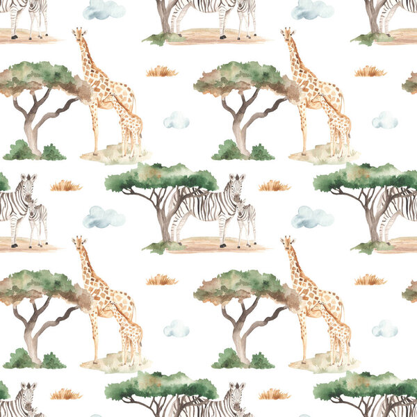 Акации и сухая трава на белом фоне. Акварель бесшовный рисунок мамы и младенца жирафов, зебр в африканской саванне