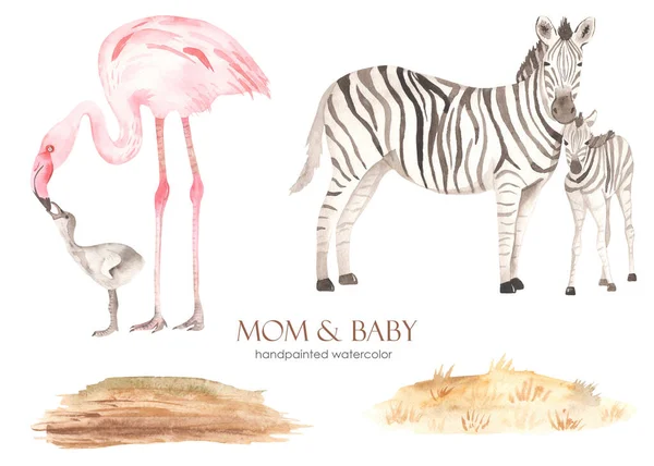 Mom Baby Africa Zebras Flamingos Meadow Dry Grass Watercolor Hand Stock Photo