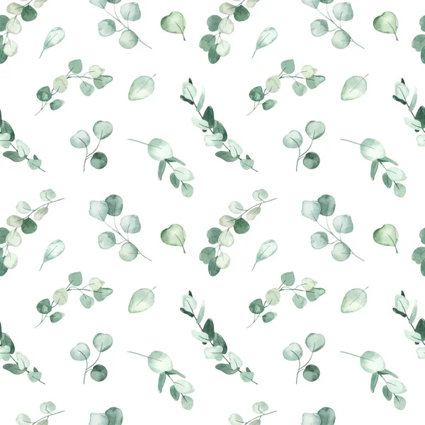 Verdi Foglie Rami Eucalipto Sfondo Bianco Acquerello Modello Senza Soluzione — Foto Stock