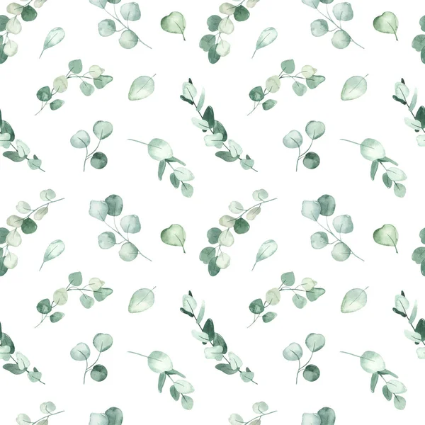 Greens, leaves, eucalyptus branches on a white background. Watercolor seamless pattern