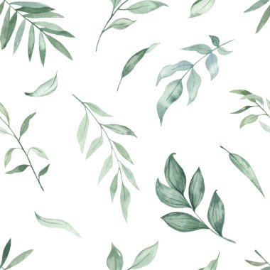 Yeşillik, palmiye yaprakları, dallar, beyaz bir arka plan. Suluboya kusursuz desen