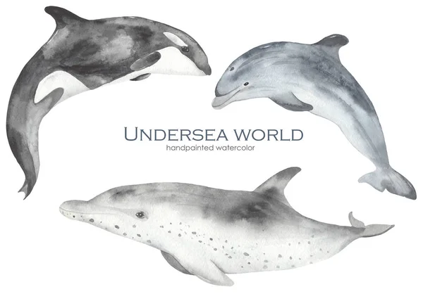 Watercolor Set Underwater World Underwater Fish Mammals Dolphins Killer Whale — Stock Photo, Image