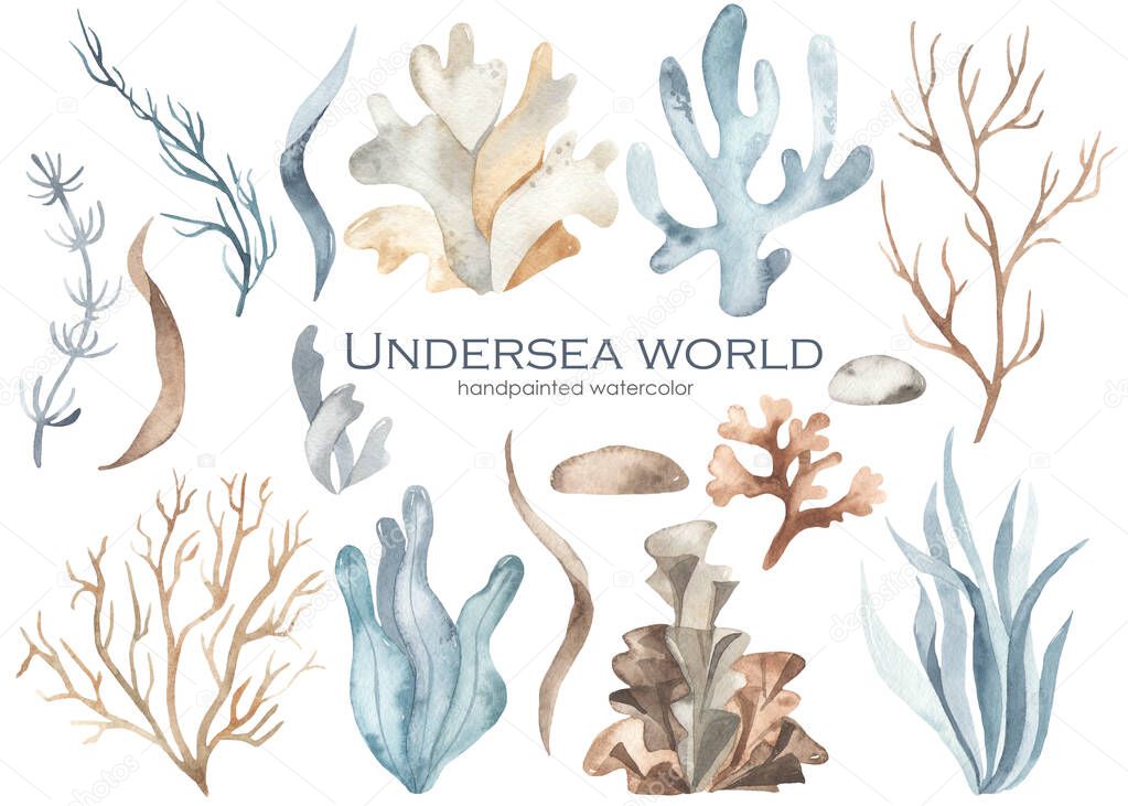 Watercolor set underwater world with seaweed, corals, grass, stones