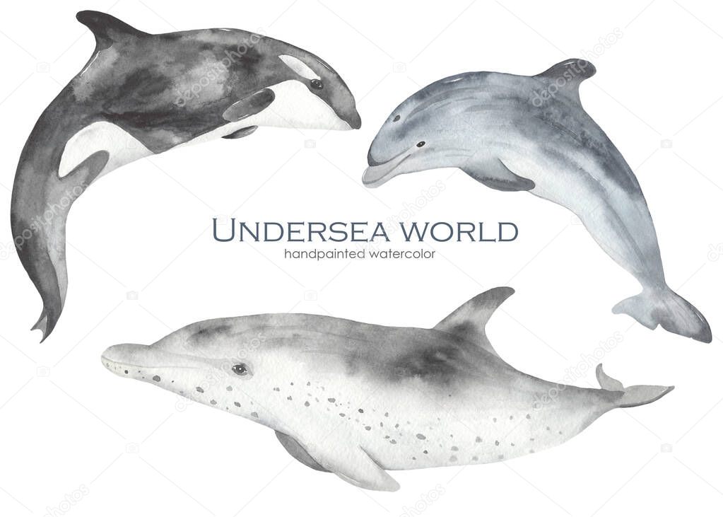 Watercolor set underwater world with underwater fish mammals, dolphins, killer whale