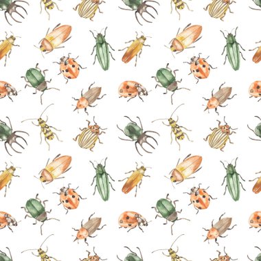 Beyaz arka planda böcekler, gergedan böceği, uğur böceği, kolorado böceği. Suluboya kusursuz desen