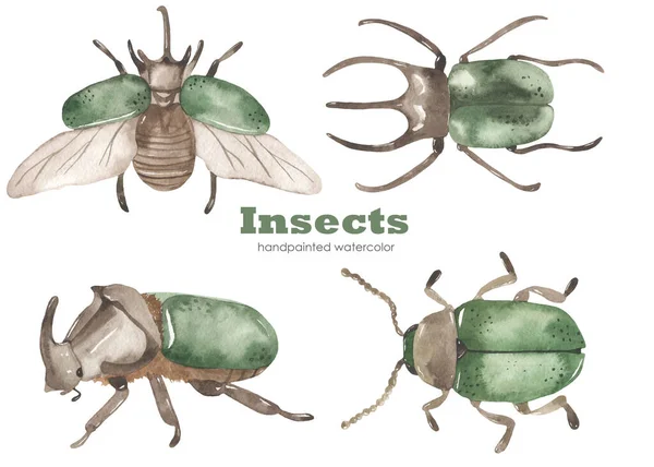 Yeşil Böcekler Gergedan Böceği Suluboya Elle Çizilmiş Klişe Gerçekçi Böcekler — Stok fotoğraf