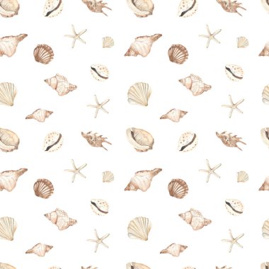Deniz kabuklu suluboya deseni, beyaz arka planda deniz yıldızı.