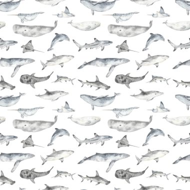 Sualtı balinası, köpekbalığı, yunus, vatoz, kılıçbalığı, beyaz arka planda ispermeçet balinası ile sulu boya desenleri