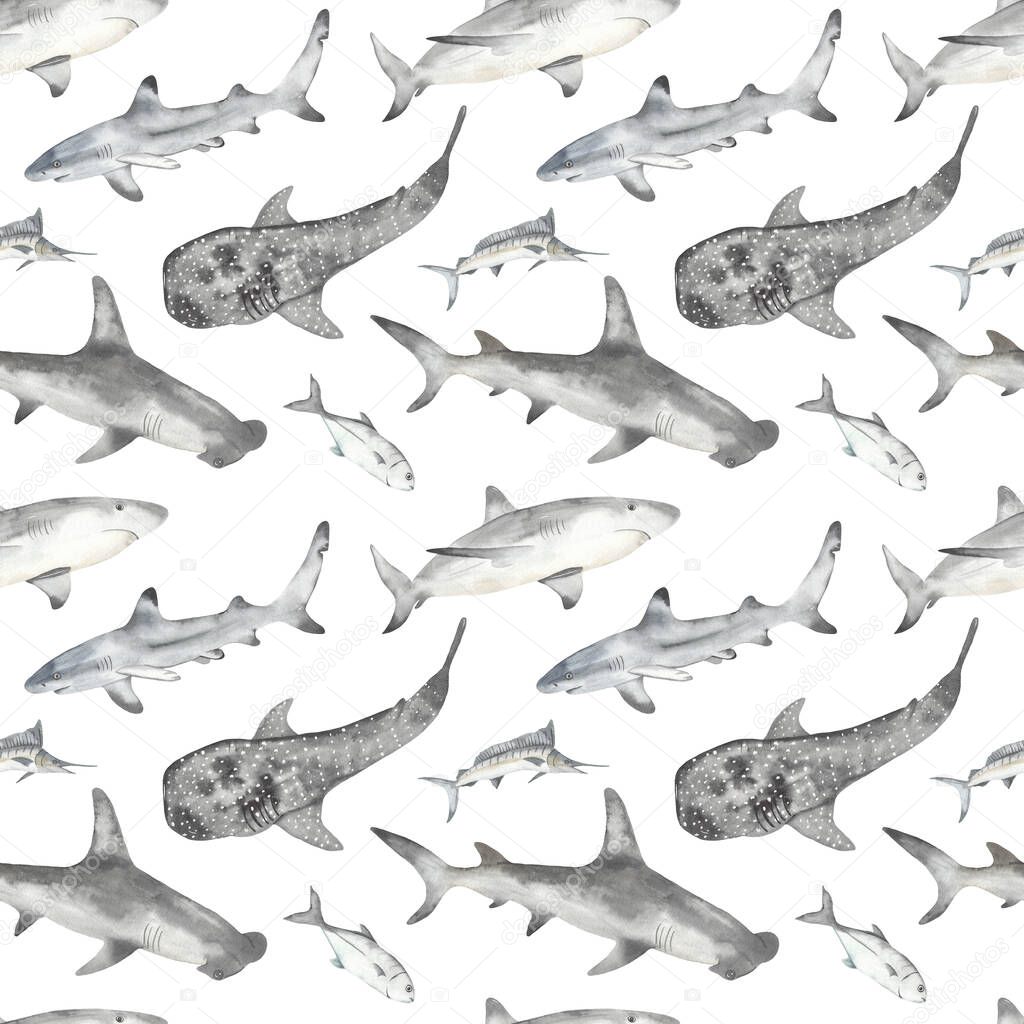 Watercolor seamless pattern with underwater animals, shark, hammerhead shark, whale shark, marlin, fish on a white background