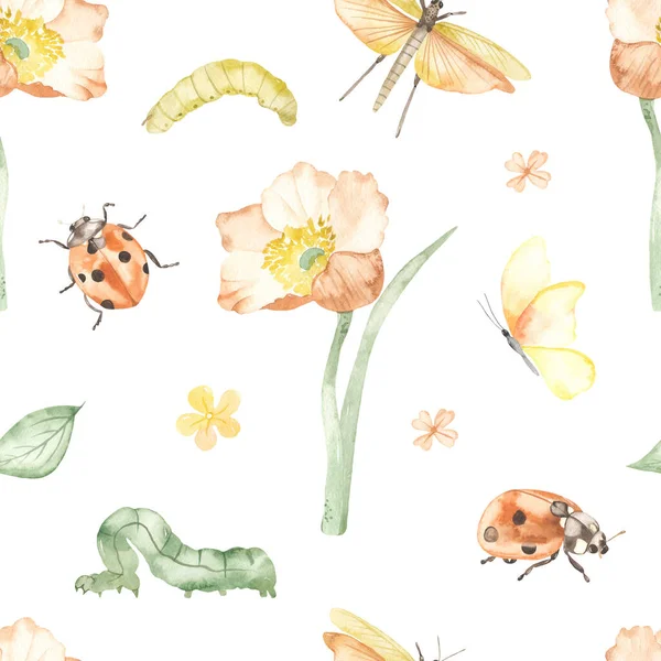 Flower, insects, ladybug, caterpillars, butterfly, grasshopper on white background. Watercolor seamless pattern