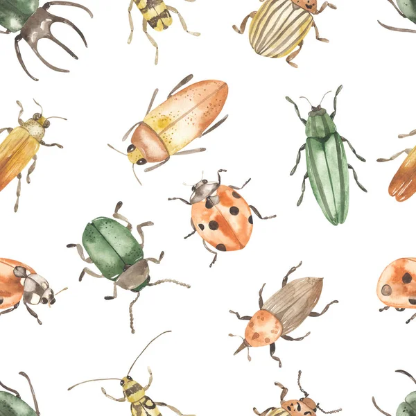 Beyaz Arka Planda Böcekler Gergedan Böceği Uğur Böceği Kolorado Böceği — Stok fotoğraf