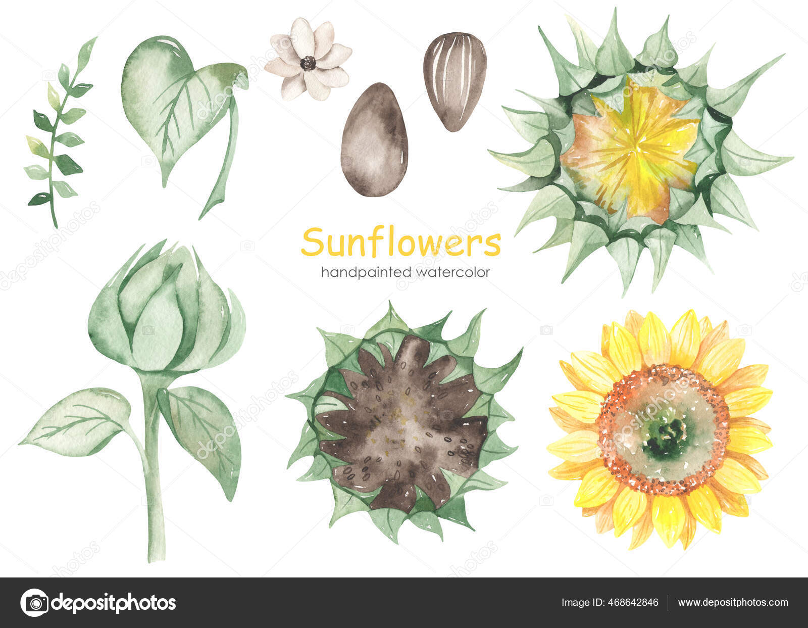 Free Free 59 Clipart Sunflower Seeds SVG PNG EPS DXF File