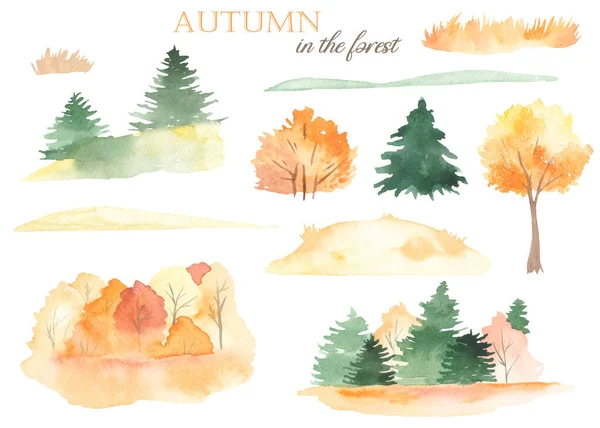 Podzimní Krajina Podzimními Stromy Jedlemi Borovicemi Trávou Loukami Akvarel Ručně — Stock fotografie