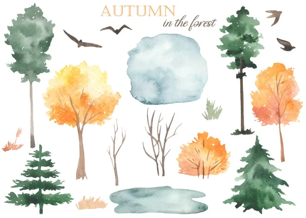 Podzimní Stromy Keře Borovice Jedle Louže Tráva Stěhovaví Ptáci Akvarel — Stock fotografie