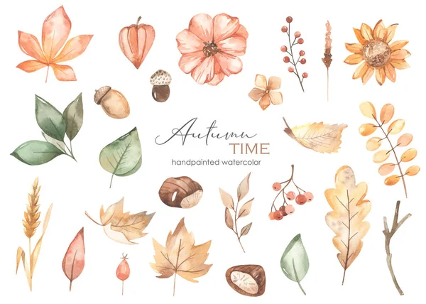 Podzimní Listy Bobule Květiny Větve Žaludy Kaštany Akvarel Ckipart Podzim — Stock fotografie
