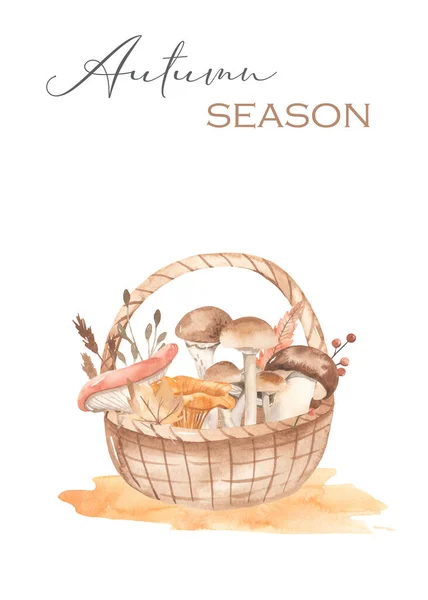 Mushrooms Basket Autumn Picnic Watercolor Hand Drawn Card — Stock Photo, Image