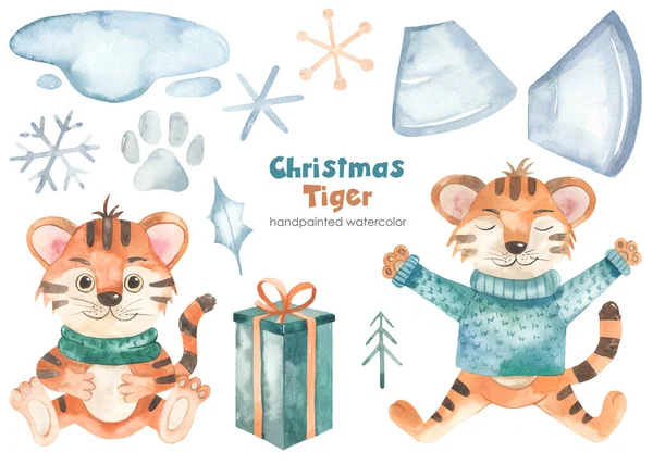 Рождественский Тигр Символ 2022 Года Снежинки Подарок Новый Год Акварель — стоковое фото