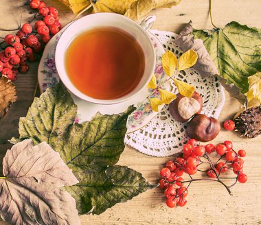 Sonbahar çayı. Rowanberry ve güz yapraklı çay, kestane, elma.         