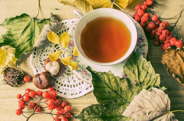 Sonbahar çayı. Rowanberry ve güz yapraklı çay, kestane, elma.         
