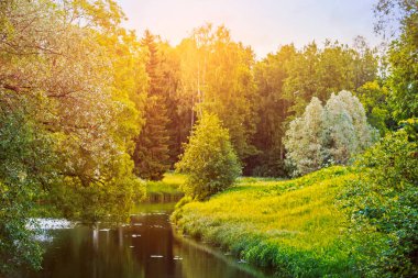 Yaz manzarası, tarla, orman ve nehir.