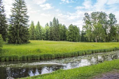 Yaz manzarası, tarla, orman ve nehir.