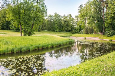 Yaz manzarası, tarla, orman ve nehir.
