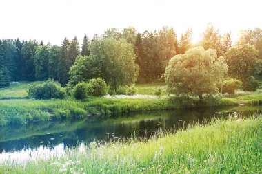 Yaz manzarası, tarla, orman ve nehir.